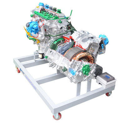 kaufen Fahrzeug-Hybrid-Antriebsstrang-Motor-System-Anatomie-Trainingsausrüstung Online-Herstellung