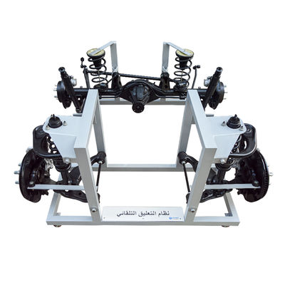 buy Automotive Suspension System Structure Display Educational  Aids online manufacture
